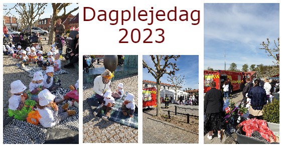 Dagplejedag 2023